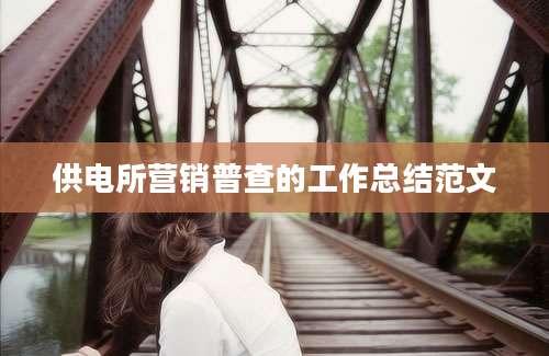 供电所营销普查的工作总结范文