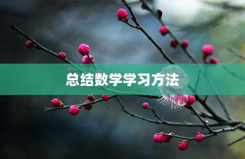 总结数学学习方法