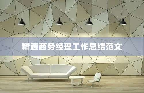 精选商务经理工作总结范文