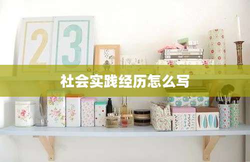 社会实践经历怎么写