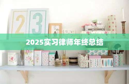 2025实习律师年终总结