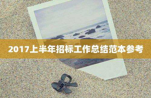 2017上半年招标工作总结范本参考