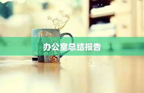 办公室总结报告