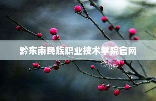 黔东南民族职业技术学院官网