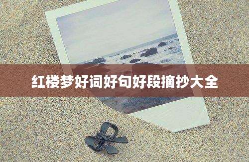 红楼梦好词好句好段摘抄大全