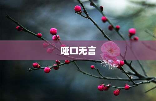 哑口无言