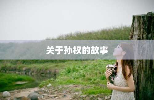 关于孙权的故事
