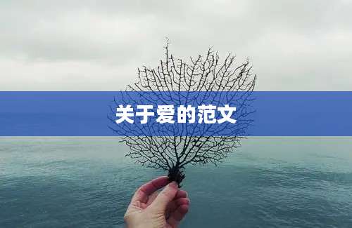 关于爱的范文