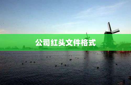 公司红头文件格式