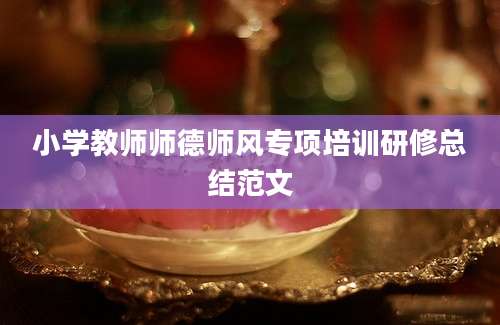 小学教师师德师风专项培训研修总结范文