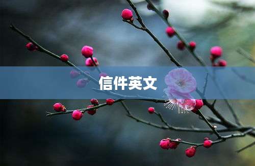 信件英文