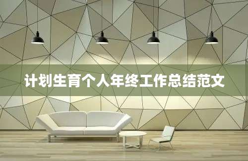 计划生育个人年终工作总结范文