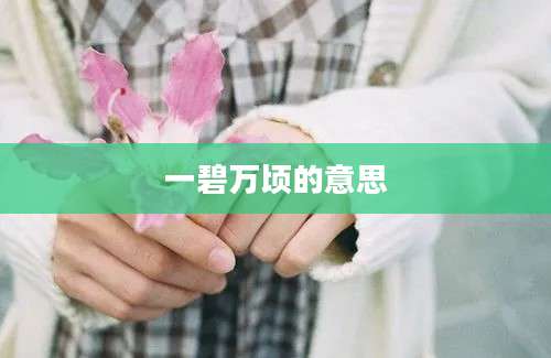 一碧万顷的意思