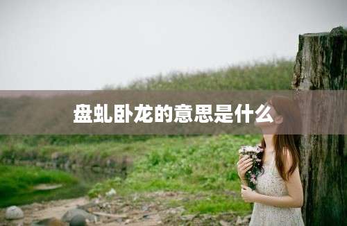 盘虬卧龙的意思是什么