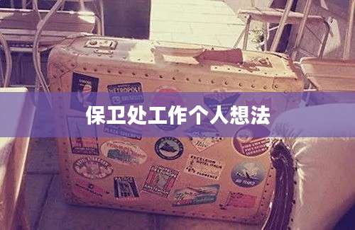 保卫处工作个人想法