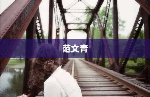 范文青