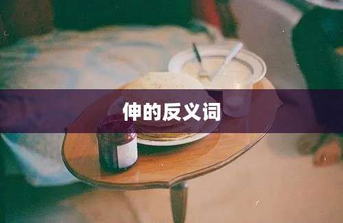 伸的反义词