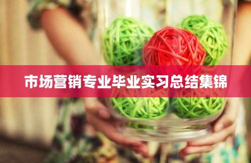 市场营销专业毕业实习总结集锦