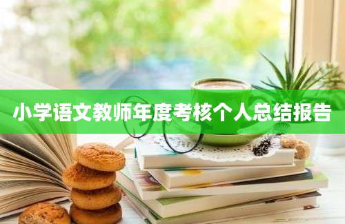 小学语文教师年度考核个人总结报告