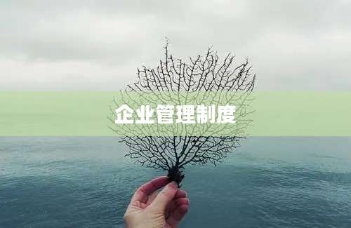企业管理制度