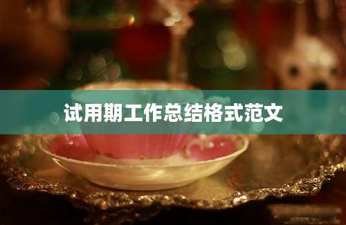 试用期工作总结格式范文