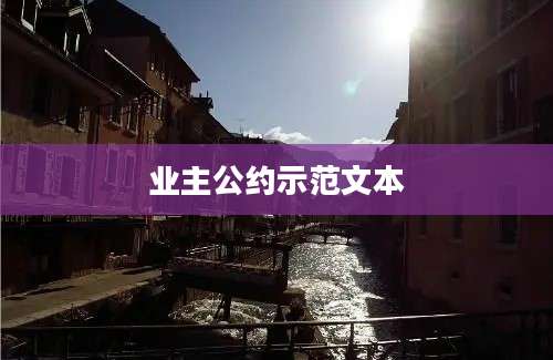 业主公约示范文本