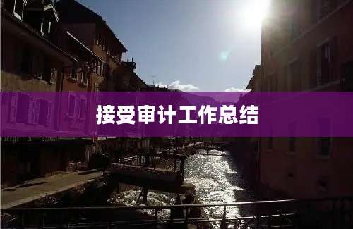 接受审计工作总结