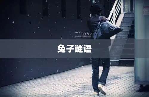兔子谜语