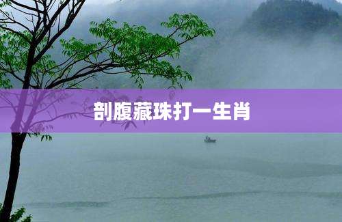 剖腹藏珠打一生肖