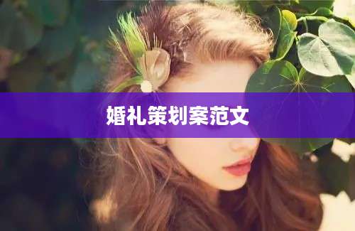婚礼策划案范文