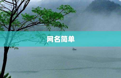 网名简单