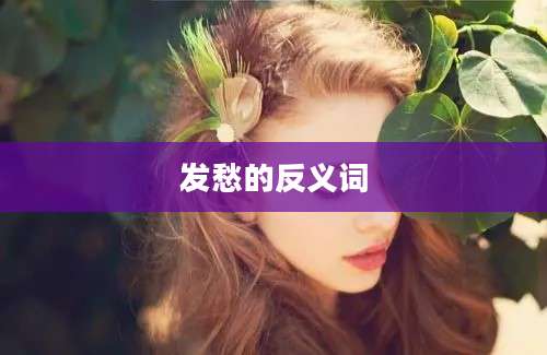 发愁的反义词