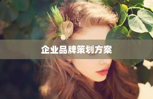 企业品牌策划方案