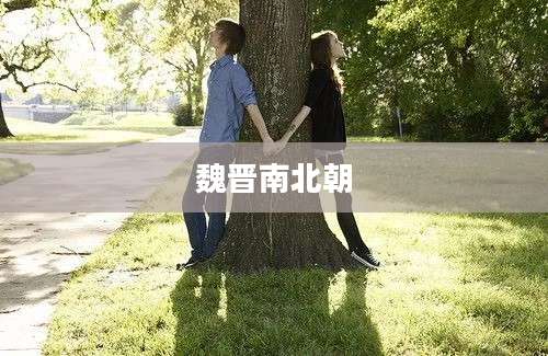魏晋南北朝