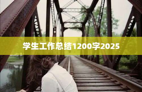 学生工作总结1200字2025
