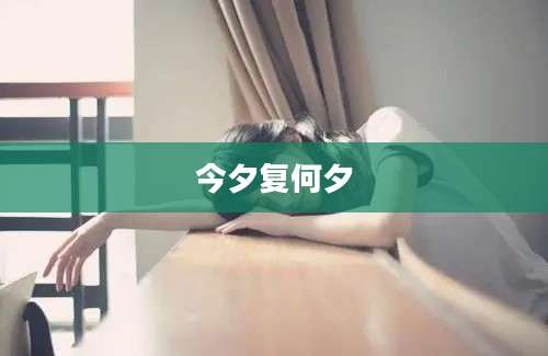 今夕复何夕