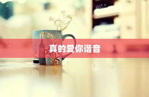 真的爱你谐音
