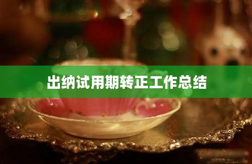 出纳试用期转正工作总结