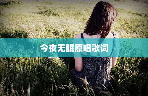 今夜无眠原唱歌词