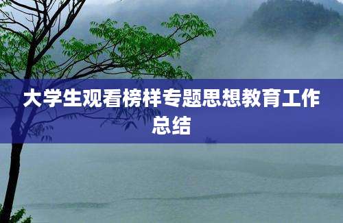大学生观看榜样专题思想教育工作总结