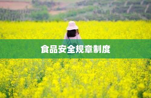食品安全规章制度