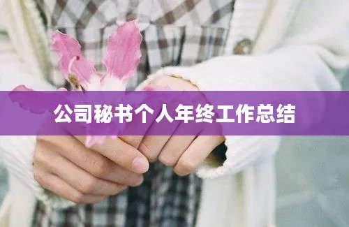 公司秘书个人年终工作总结