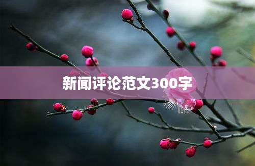 新闻评论范文300字