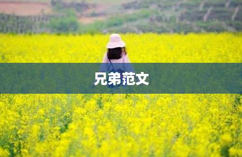 兄弟范文