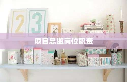 项目总监岗位职责