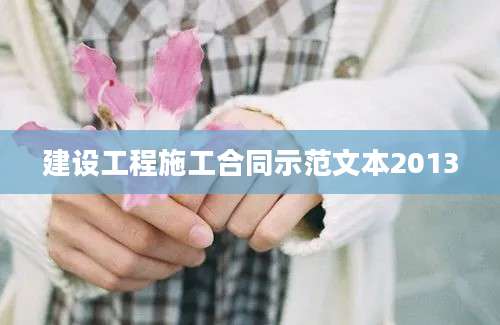 建设工程施工合同示范文本2013