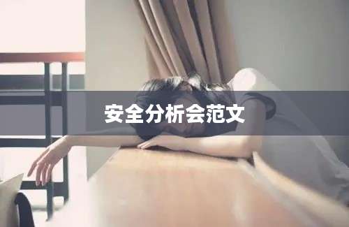 安全分析会范文
