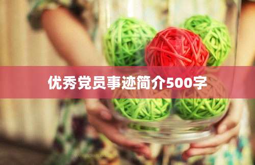 优秀党员事迹简介500字
