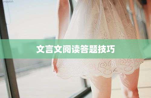 文言文阅读答题技巧