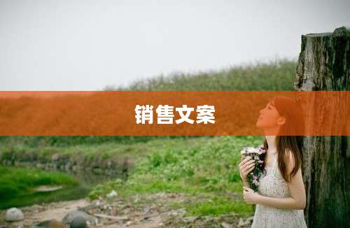 销售文案